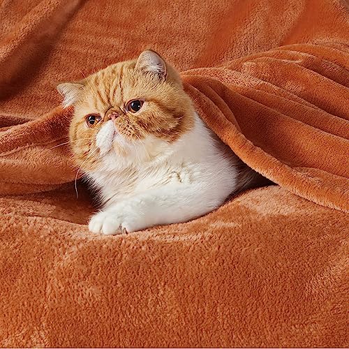 Bedsure Cozy Fleece Throw Blanket - 50x70 Inches, Orange, XL