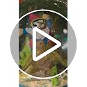 Winter Arctic Gnome Snow Globe - Musical Holiday Figurine with Let It Snow