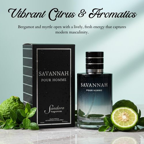 Sandora Fragrances Men's Cologne - Inspired by Renowned Perfume | Fresh & Spicy with Bergamot, Lavender & Cedar - 3.4 fl oz