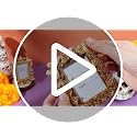 Day of The Dead Monarch Butterfly Picture Frame Set - Classic