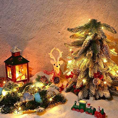 Battery Operated Fairy Lights with Timer 20 LED 65ft Warm White