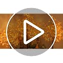 Artificial Fall Maple Tree with 144 Warm White LED Lights - 4FT Orange Indoor Outdoor Decoration - Variation 4FT-2