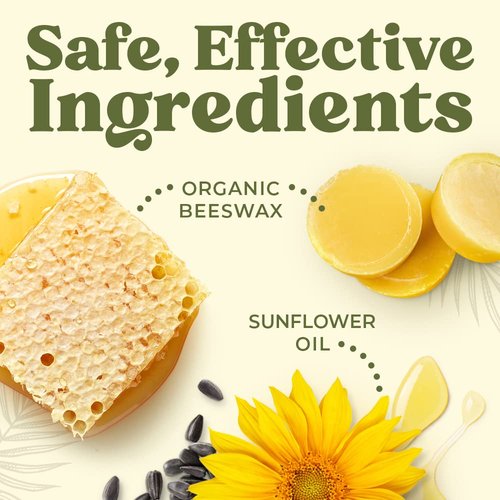 Earth's Daughter USDA Organic Lip Balm - 12-Pack of Fruit Flavors with Beeswax & Coconut Oil | Best Moisturizing Chapstick for Dry, Cracked Lips