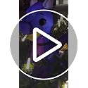 5 Ft Halloween Inflatable Purple Dragon with LED Lights for Yard & Garden Decor