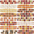 Fall Thanksgiving Press On Nails - Elegant Pattern 16 Pack, Short Fake Nails