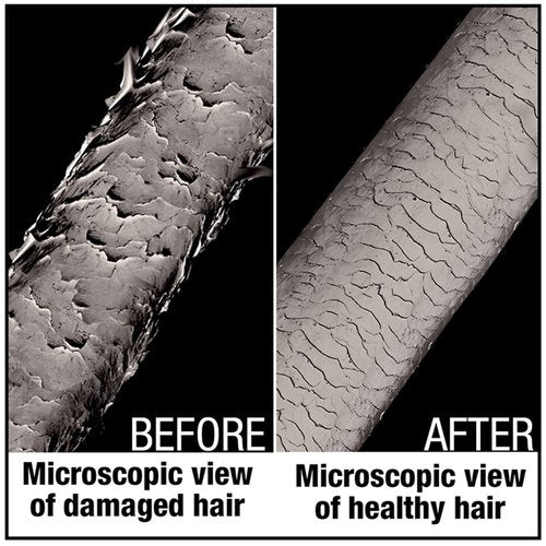 AGADIR Hair Shield 450 Spray Treatment - Protects Hair From Heat Damage | 6.7 Fl Oz