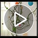 118-Inch Fake Green Grapevine Garland - Small, Flexible Artificial Tree Branches