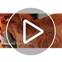 Fall Pumpkin Pillow Cover Set - Orange 16x16 Inch Wool Velvet Sofa Cushion