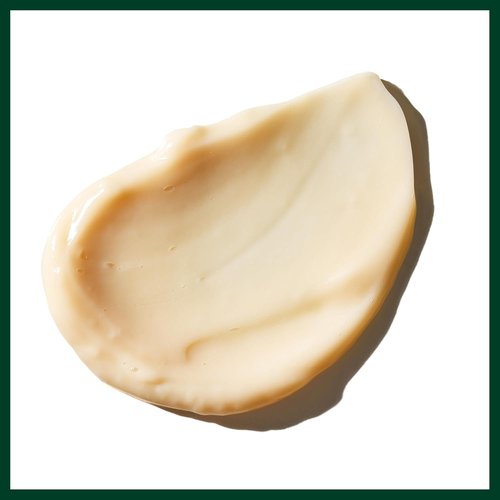 Aveda Sap Moss Weightless Hydration Conditioner - Hydrates & Detangles | Silicone-Free, 6.7 Fl Oz