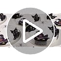 Halloween Black Cat Party Plates 9-Inch Set with Witchy Hats & Spider Webs - Variation: Three Black Cats