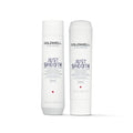 Goldwell Dualsenses Just Smooth Shampoo - Anti-Frizz & Humidity Control for Silky Hair