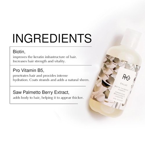 R+Co Dallas Biotin Thickening Shampoo & Conditioner Set - Volumizing Formula for Fine Hair - Sulfate-Free, Vegan - 8.5 oz (Pack of 2)