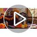 Wovelli Dia De Los Muertos Decorative Picture Frame - Yellow, Day of the Dead Altar