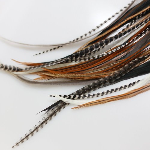 Sexy Sparkles Feather Hair Extensions - Natural Beige & Brown Feathers, 25 Individual Loose Feathers, 8-12 Inches, Includes 10 Silicone Micro Beads