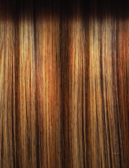 Outre Lace Front Wig - Sleeklay Part -NYLA (DRST2/CHOCOLATE CARAMEL)