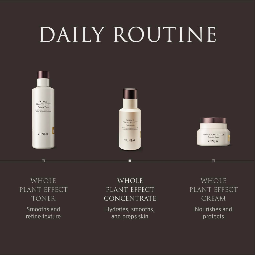 YUNJAC Whole Plant Effect Concentrate(1.35fl oz) - Instant Absorbing Milky texture serum, with squalane, ceramide, fermented ginseng root, for deep hydration, strengthen skin barrier, Korean skin care