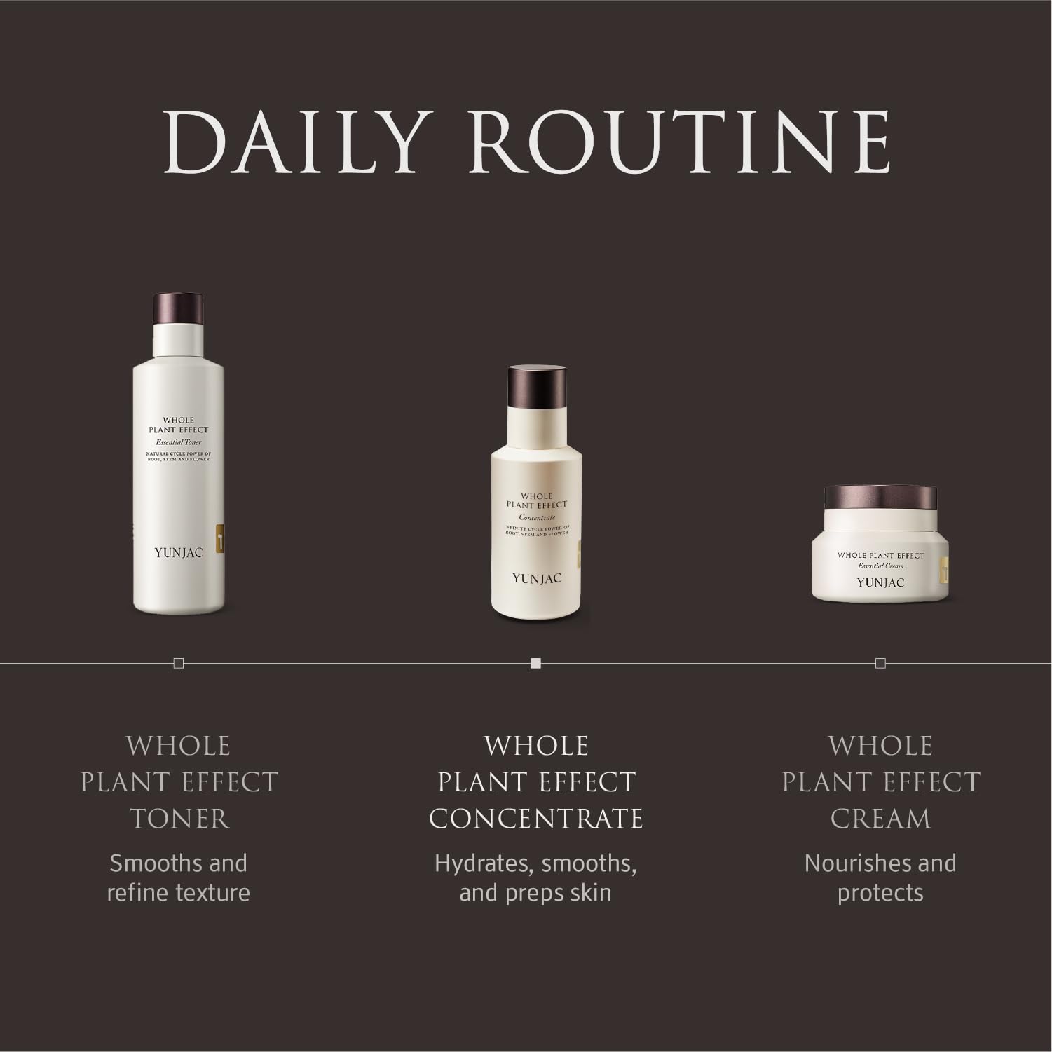 YUNJAC Whole Plant Effect Concentrate(1.35fl oz) - Instant Absorbing Milky texture serum, with squalane, ceramide, fermented ginseng root, for deep hydration, strengthen skin barrier, Korean skin care