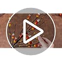 Halloween Candy Corn Artificial Stems - 8 Count, 20 Inch Fall Decor with Fake Candies - Spooky Autumn Vases Arrangement