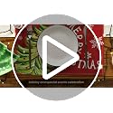 Christmas Pine Red Placemats Set of 4 - Holiday Table Decor for Dining & Parties
