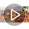Thanksgiving Pumpkin Decor Set - 86pcs Fall Harvest Maple Acorns & Leaves