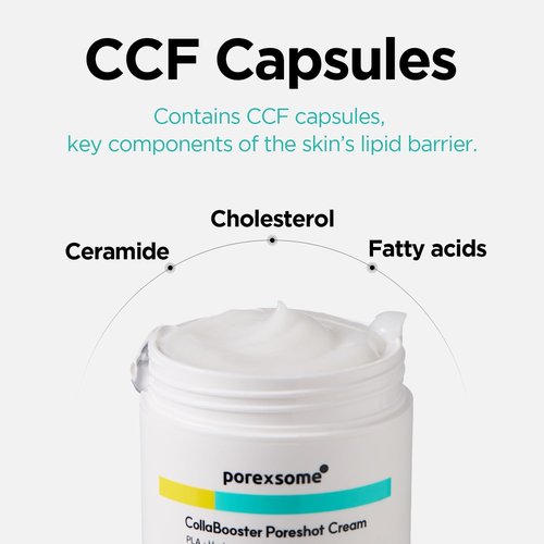 Dr.nineteen CollaBooster Poreshot CreamㅣPoly Lactic Acid(PLA) + 12 Hyaluronic Acid(HA) + CeramidesㅣFace Moisturizer for Pore Tightening & FirmingㅣKorean Skin Care (1.69 fl.oz.)