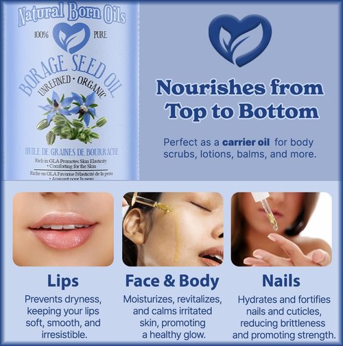 Natural Born Oils Borage Seed Oil, 16oz, Organic, Cold-Pressed, Carrier Oil, High GLA, Vitamins & Minerals, Deep Skin Nourishment, Hair Vitality