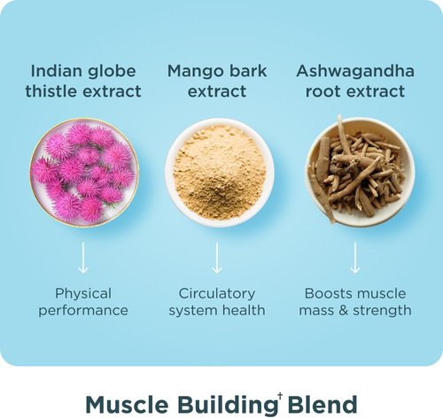 Ancient Nutrition Multi Collagen Protein Capsules - Support Muscle Health | 90 Count