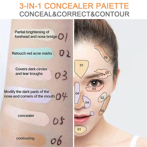Skiennix Concealer Contour Palette - 6-in-1 Color Correcting Makeup Kit for Dark Circles & Blemishes with Brushes