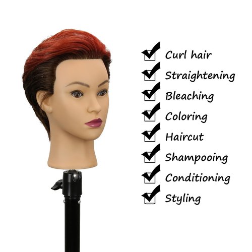 Mannequin Head Human Hair 14 Inch 100% Real Human Hair Hairdresser Practice Training Head Cosmetology Mannequin Head Can be Bleached And Dyed With Small Stand And Alligator Clip（14 Inch Dark Brown）