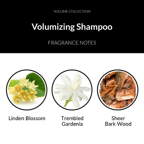 Number 4 Hair Shampoo for Women and Men, Volumizing Shampoo, 8.5 oz