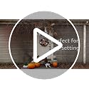 Halloween Ball Wreath 13 Inch Xmas Holiday Door Wall Decor Glitter Ornaments, White Black Orange