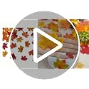 Artificial Maple Leaves Fall Decor Set 320 Pieces for Thanksgiving Halloween Weddings Crafts
