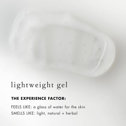 Bioelements Beyond Hydration Gel Facial Moisturizer - 2.5 fl oz | Non-Greasy, Vegan Formula with Vitamin B5 & Essential Oils