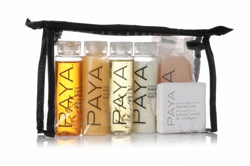 Skiennix Toiletry Travel Set - Shampoo, Conditioner, Shower Gel & Facial Soap with Tote Bag