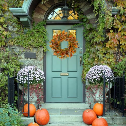 Fall Wreath for Front Door 22 Inch Autumn Wreath Home Decor Harvest