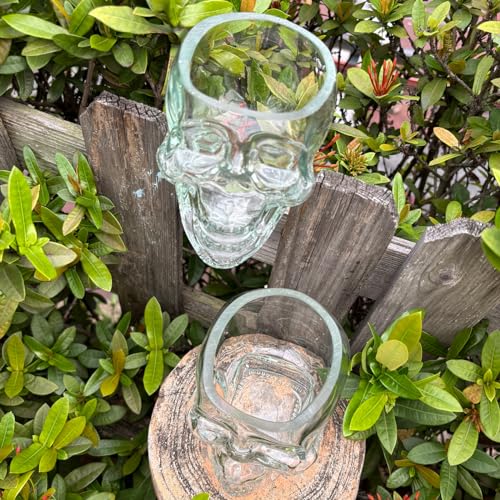12oz Skull Wine Glass Cup - Funny Edgy Drinkware for Halloween Parties