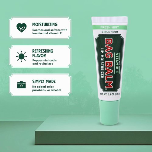 Vermont's Original Bag Balm Moisturizing Lip Balm with Vitamin E | Pack of 4 0.3oz Tubes (4 Pack, Fresh Mint)