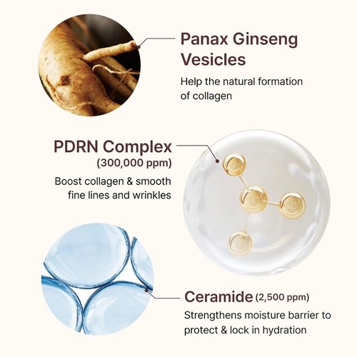 CENTELLIAN 24 PDRN Firming Boosting Ampoule - Enhanced Skin Elasticity | 1.01 fl oz with 300,000 ppm PDRN