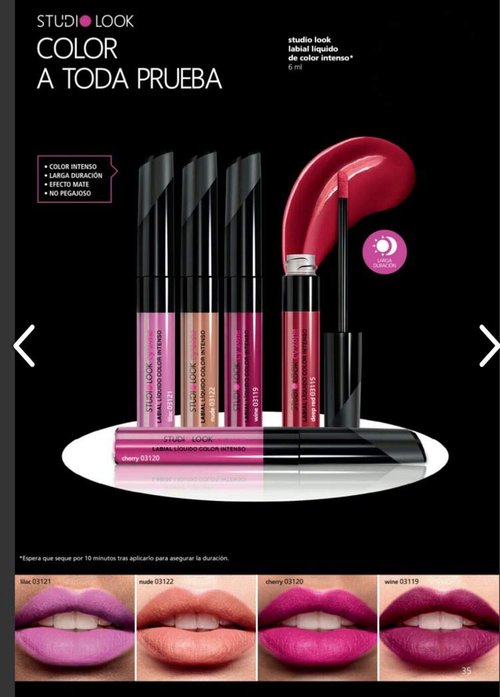 Cyzone | Studio Look Intense Color Liquid Lipstick - Long Lasting Rose Nude Shade