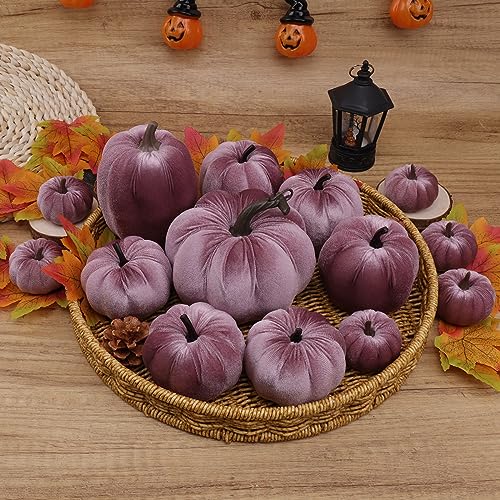Purple Velvet Pumpkins Set of 16 Fall Halloween Thanksgiving Decor