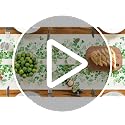 St. Patrick's Day Table Runner 13x90 Inch Clover Leaves Heart Decor Green