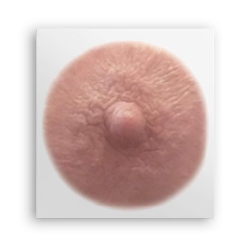 TataTattoos Temporary Realistic Nipple/Areola Tattoos – Non-Surgical for Mastectomy Recovery – for Post Breast Cancer Surgery (Auburn, Large (Pack of 20))
