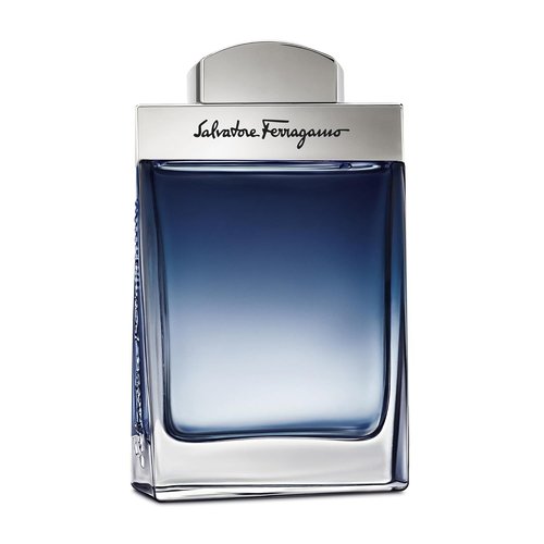 Salvatore Ferragamo Subtil Pour Homme Eau de Toilette - Elegant Cologne Spray for Men