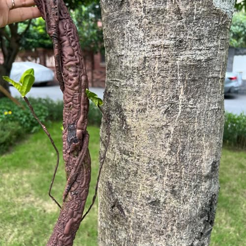 Flexible Artificial Tree Twigs and Vine Branches - 6.3Ft for Home Decor