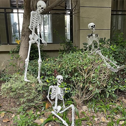 Posable Halloween Skeleton Prop - Life Size 5.4ft & 3ft Full Body Bones with Joints