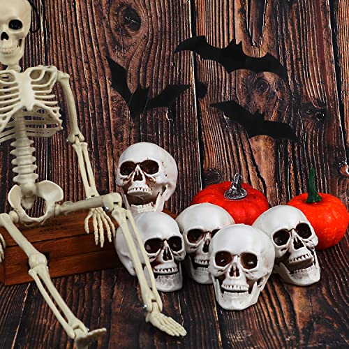 Halloween Skull Decorations 8pcs Mini Realistic Human Skulls for Haunted House & Party - Variation of 2.75 Inch