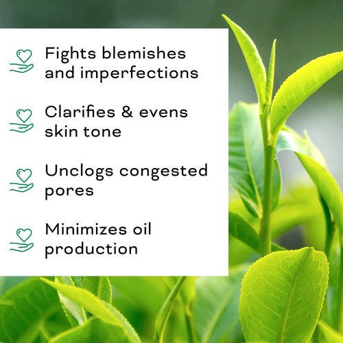 Skiennix Tea Tree Facial Oil - Targets Acne & Uneven Skin Tone | Antioxidant-Rich Beauty Oil, 1 oz