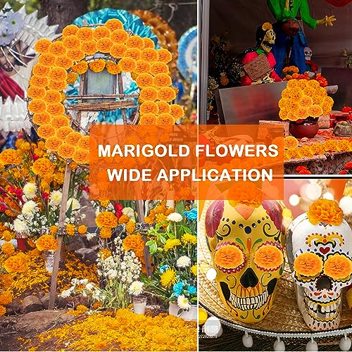 Artificial Marigold Flowers Heads Bulk 50Pcs for Day of The Dead Halloween Diwali Home Decor - Orange