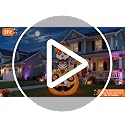 5 Ft Inflatable Halloween Skeleton Cat on Pumpkin with LED Lights - Day of The Dead Decor