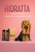 Hidratta Premium Dog & Cat Hydrating Shampoo + Mask Kit – Henna & Natural Oils for Shiny, Tangle-Free Coat – 12.5 oz / 370 ml Set